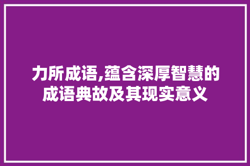 力所成语,蕴含深厚智慧的成语典故及其现实意义