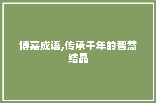 博嘉成语,传承千年的智慧结晶