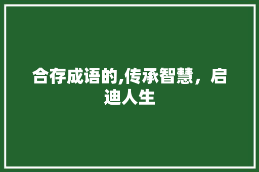 合存成语的,传承智慧，启迪人生