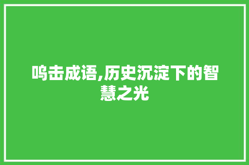 呜击成语,历史沉淀下的智慧之光