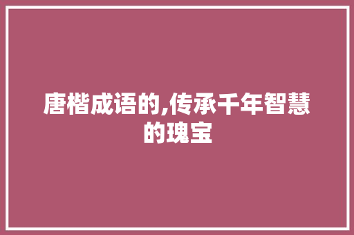 唐楷成语的,传承千年智慧的瑰宝