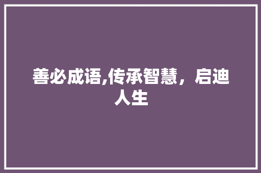 善必成语,传承智慧，启迪人生