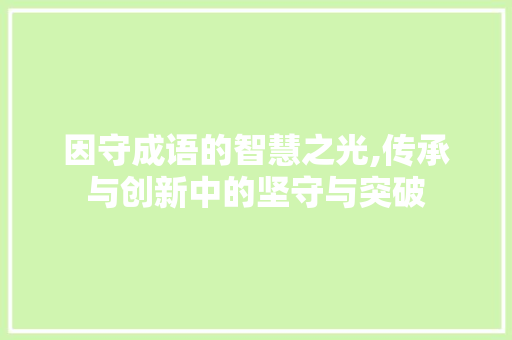 因守成语的智慧之光,传承与创新中的坚守与突破