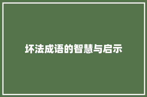 坏法成语的智慧与启示