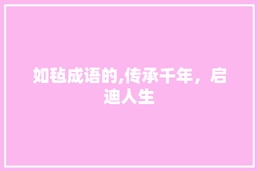 如毡成语的,传承千年，启迪人生