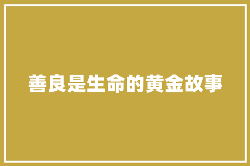 宫聚成语的智慧之光_从历史传承到现代启示