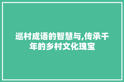 巡村成语的智慧与,传承千年的乡村文化瑰宝