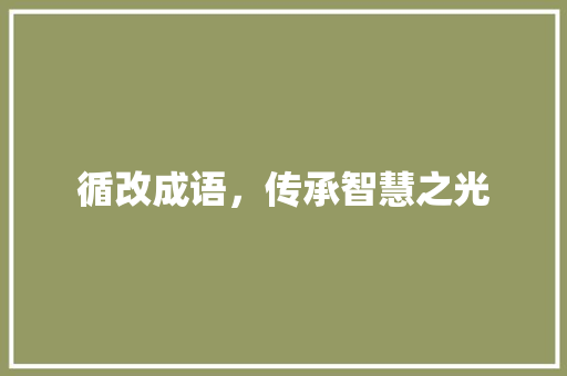 循改成语，传承智慧之光 英语单词