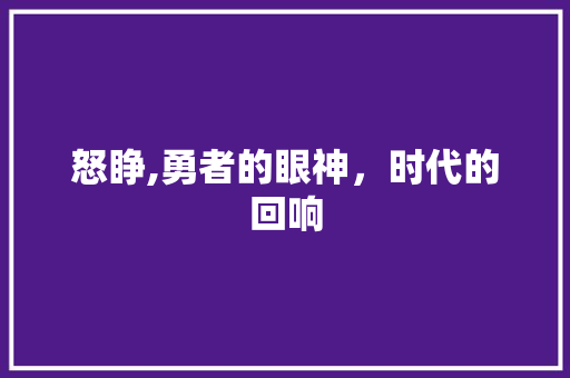 怒睁,勇者的眼神，时代的回响 短语