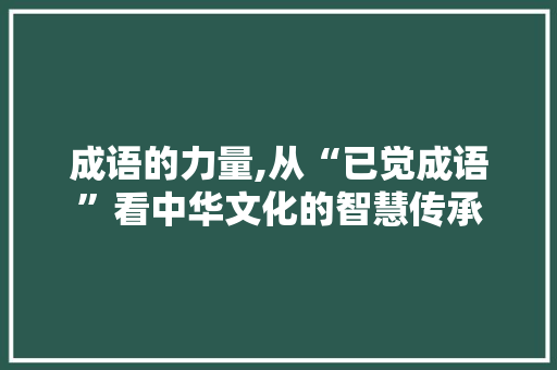 成语的力量,从“已觉成语”看中华文化的智慧传承