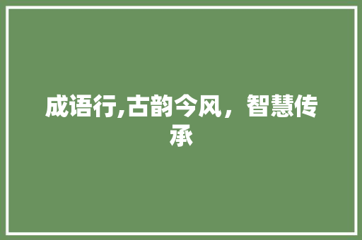 成语行,古韵今风，智慧传承