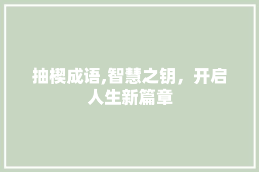 抽楔成语,智慧之钥，开启人生新篇章