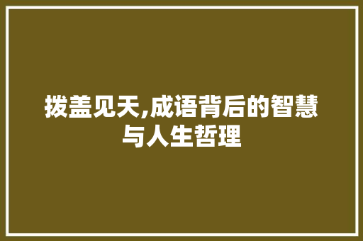拨盖见天,成语背后的智慧与人生哲理