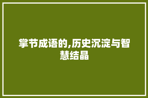 掌节成语的,历史沉淀与智慧结晶 问答