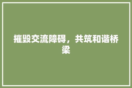 摧毁交流障碍，共筑和谐桥梁