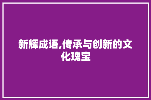 新辉成语,传承与创新的文化瑰宝 反义词汇