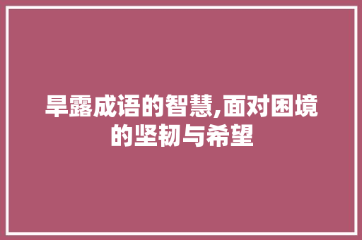 旱露成语的智慧,面对困境的坚韧与希望 英语单词