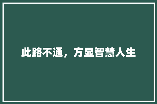 此路不通，方显智慧人生