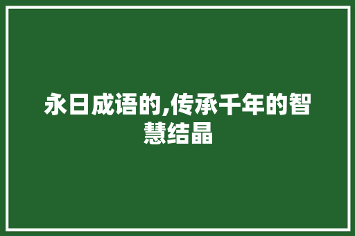 永日成语的,传承千年的智慧结晶