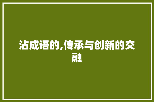沾成语的,传承与创新的交融 近义词汇