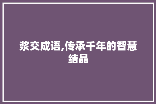 浆交成语,传承千年的智慧结晶