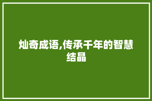 灿奇成语,传承千年的智慧结晶