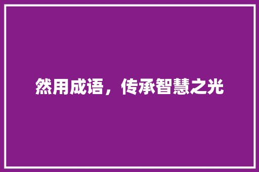 然用成语，传承智慧之光