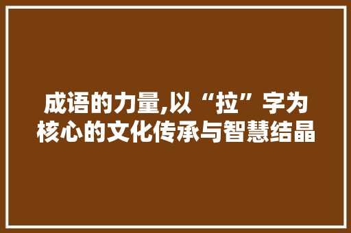 成语的力量,以“拉”字为核心的文化传承与智慧结晶
