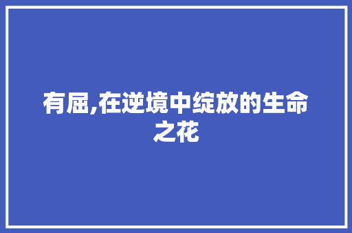 有屈,在逆境中绽放的生命之花