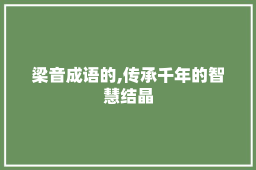 梁音成语的,传承千年的智慧结晶