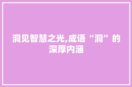洞见智慧之光,成语“洞”的深厚内涵