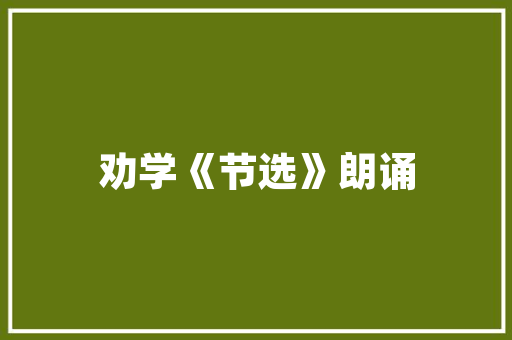 芒果爸妈创业计划,育儿新时代的温暖力量