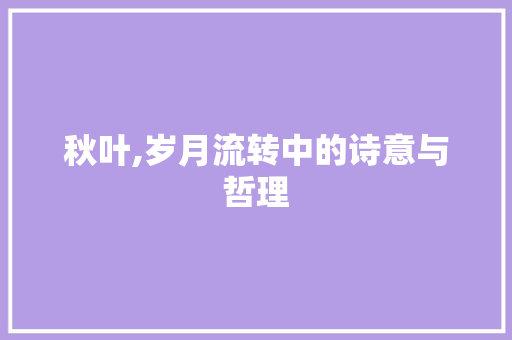 秋叶,岁月流转中的诗意与哲理