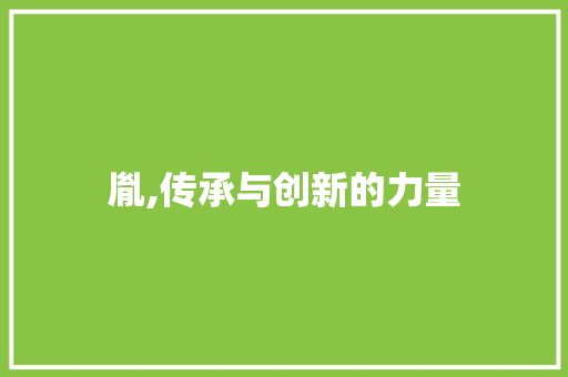 胤,传承与创新的力量