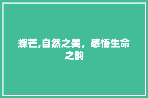 蝶芒,自然之美，感悟生命之韵