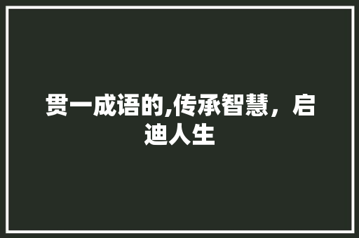 贯一成语的,传承智慧，启迪人生