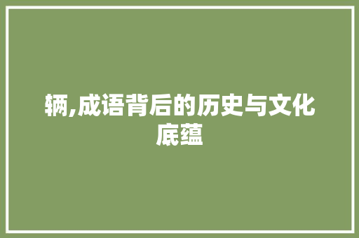 辆,成语背后的历史与文化底蕴 成语汇编