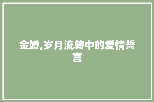 金婚,岁月流转中的爱情誓言
