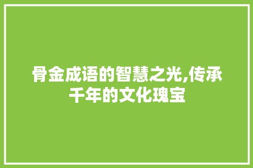 骨金成语的智慧之光,传承千年的文化瑰宝
