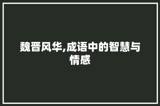 魏晋风华,成语中的智慧与情感