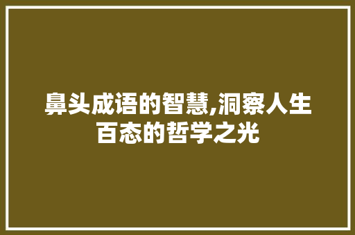 鼻头成语的智慧,洞察人生百态的哲学之光