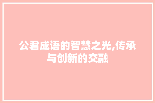 公君成语的智慧之光,传承与创新的交融