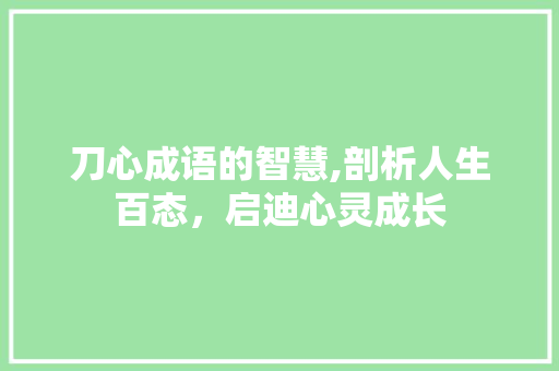 刀心成语的智慧,剖析人生百态，启迪心灵成长
