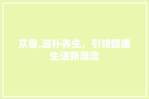 苁蓉,滋补养生，引领健康生活新潮流