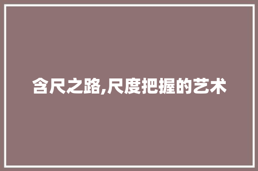 含尺之路,尺度把握的艺术