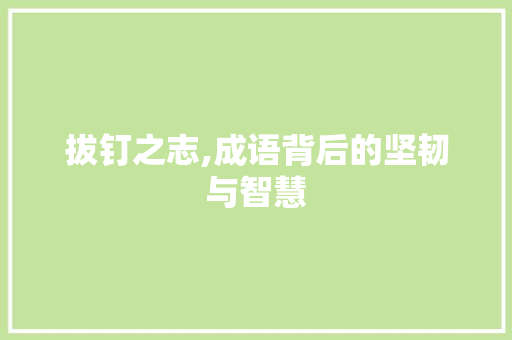 拔钉之志,成语背后的坚韧与智慧