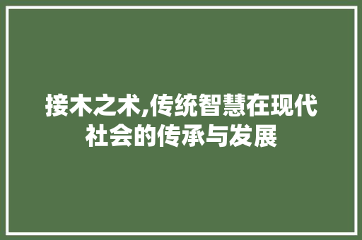 接木之术,传统智慧在现代社会的传承与发展 短语
