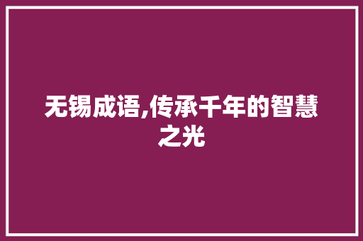 无锡成语,传承千年的智慧之光