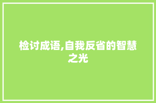 检讨成语,自我反省的智慧之光