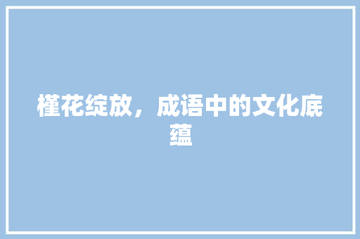 槿花绽放，成语中的文化底蕴
